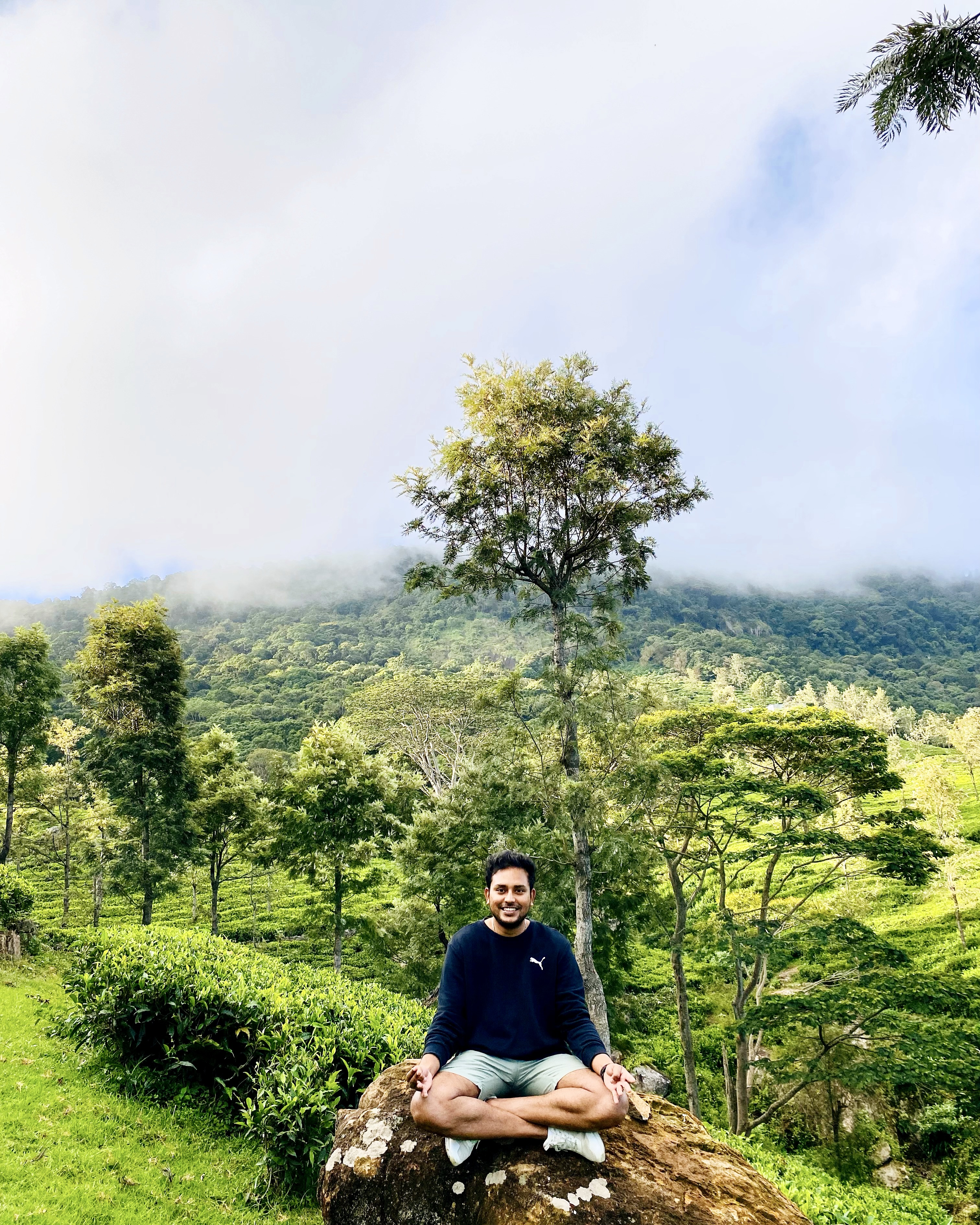 Suman Mukherjee - AI Strategist